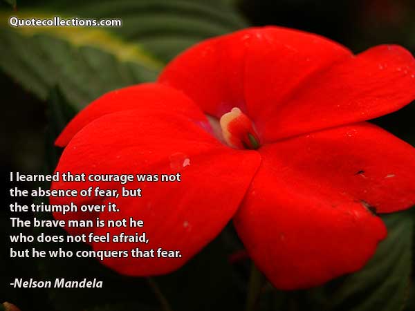 Nelson Mandela Quotes2